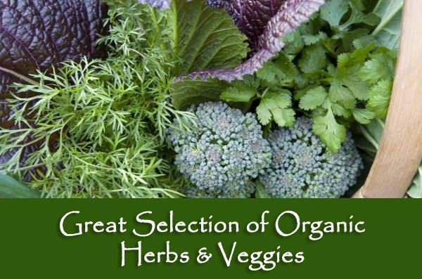 herbs and veggies