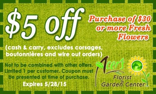 coupon