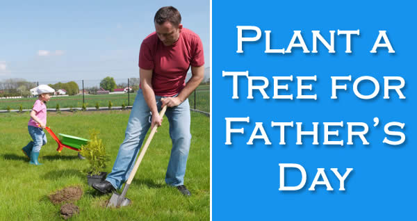 Plant a Tree for Father's Day