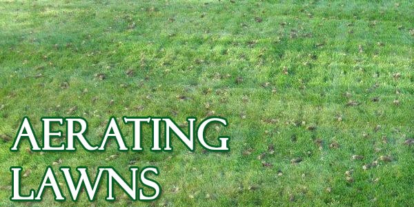 aerating lawns