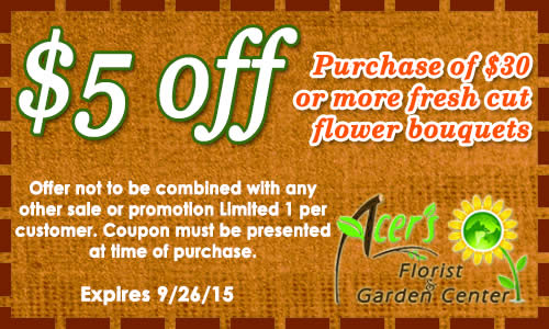 coupon