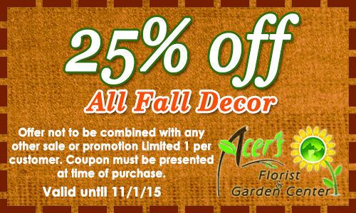 coupon