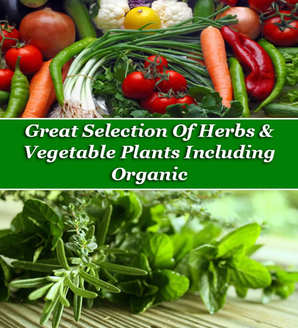 Herbs and Vegetables - including organic